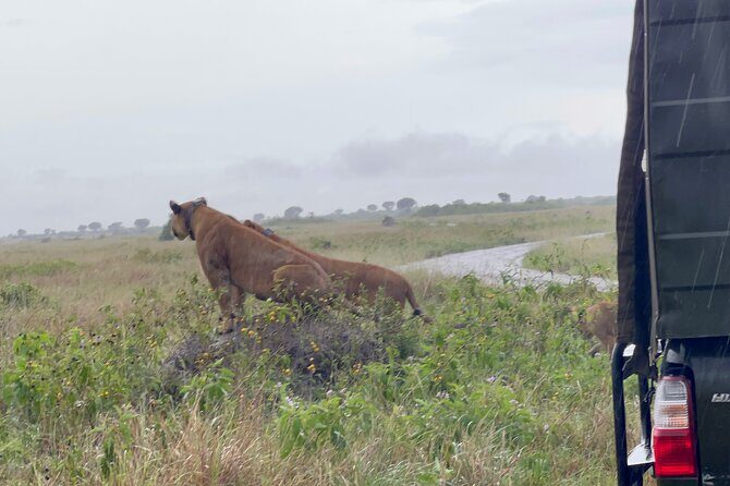 3 Day Queen Elizabeth National Park Budget Tour - What Makes This Tour Stand Out?