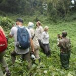 3 Day Rwanda to Uganda gorilla trekking Safari - What’s Included and What’s Not