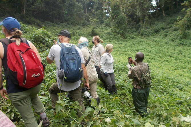 3 Day Rwanda to Uganda gorilla trekking Safari - What’s Included and What’s Not