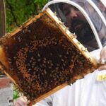 3 Day Rwanda with Bisoke Hike, Twin Lakes & Beekeeping - Value and Pricing: Is It Worth the Cost?