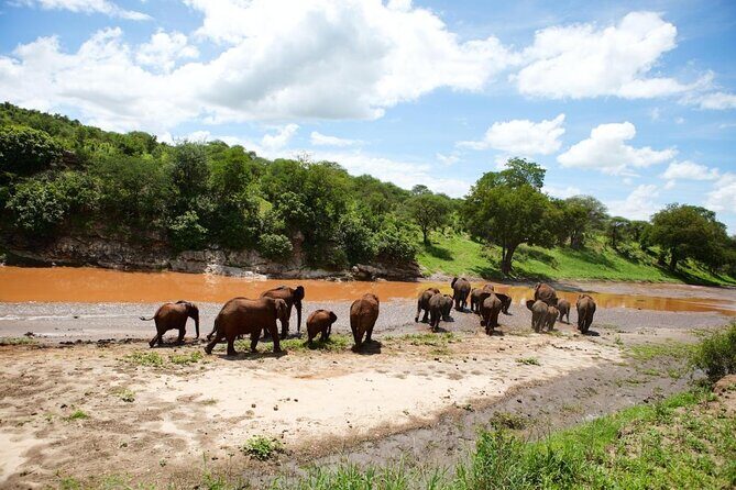 3-Day Safari Tour to Tarangire National Park, Lake Manyara National Park and Ngorongoro Crater from Arusha - The Benefits of This Safari Package