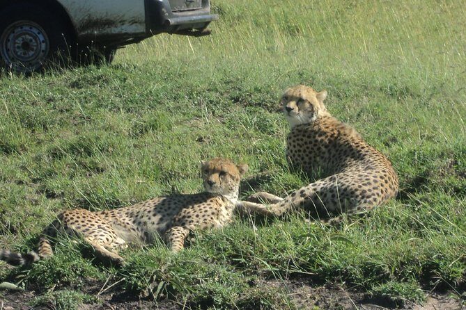 3-Day Safari Trip to Masai Mara National Reserve from Nairobi - What’s Included and What’s Not