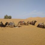 3-Day Sahara Desert Tour: Marrakech to Merzouga - What’s Included and What to Consider