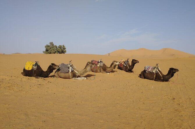 3-Day Sahara Desert Tour: Marrakech to Merzouga - What’s Included and What to Consider