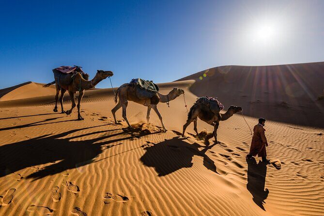 3-day Sahara Desert Trip From Marrakech - Who Would Love This Tour?