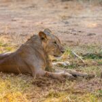 3-Day Samburu safari from Nairobi - Detailed Breakdown of the Itinerary