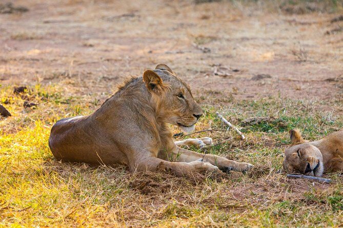 3-Day Samburu safari from Nairobi - Detailed Breakdown of the Itinerary