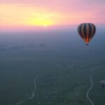 3 Day Sharing Safari - Manyara, Ngorongoro Crater and Tarangire National Parks - The Value of This Safari: What Sets It Apart