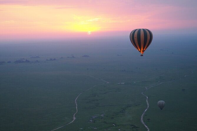 3 Day Sharing Safari - Manyara, Ngorongoro Crater and Tarangire National Parks - The Value of This Safari: What Sets It Apart