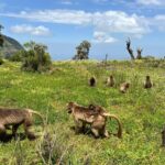 3 Day Simien Mountains Tours - In-Depth Look at the 3-Day Itinerary