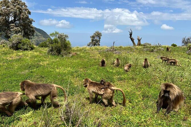 3 Day Simien Mountains Tours - In-Depth Look at the 3-Day Itinerary