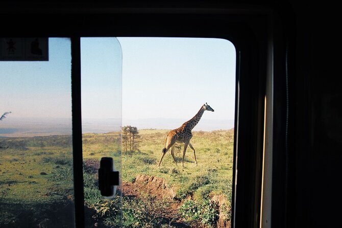 3-Day Tarangire, Lake Manyara and Ngorongoro - What Makes This Safari Stand Out?