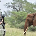 3 Day - Tarangire, Ngorongoro Crater Lake Manyara- Mid - Range - Why This Tour Offers Great Value