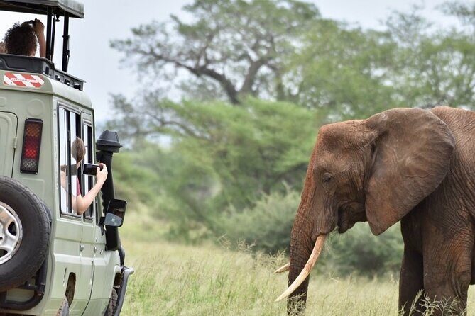 3 Day - Tarangire, Ngorongoro Crater Lake Manyara- Mid - Range - Why This Tour Offers Great Value