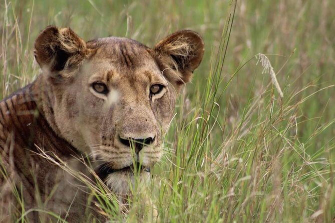 3-Day Tarangire NP, Manyara NP & Ngorongoro Crater - What’s Included and What’s Not