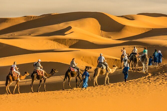 3-Day Tour in Marrakech To Merzouga Desert - What Travelers Love About This Tour