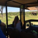 3-Day Tour of Kruger National Park from Skukuza Airport - Accommodation and Inclusions
