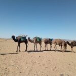 3-day trek - In the shade of palm trees - What’s Included and What’s Not