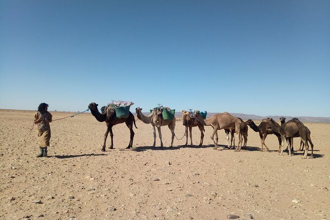 3-day trek - In the shade of palm trees - What’s Included and What’s Not