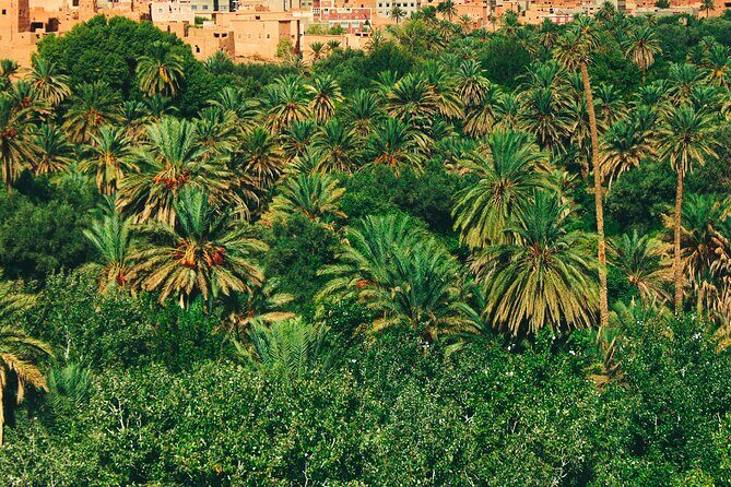 3 Day Trip from Marrakech to Merzouga - Authentic Experiences that Stand Out
