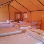 3-Day Tunisia Sahara Desert Camel Trek from Douz - Introduction to the Sahara Trek