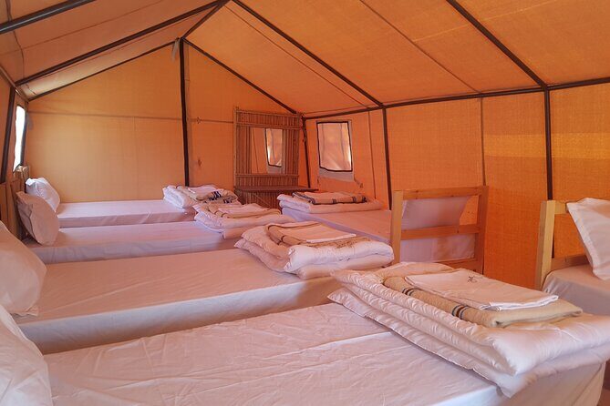 3-Day Tunisia Sahara Desert Camel Trek from Douz - Introduction to the Sahara Trek
