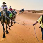 3 Days 2 Magic Night Merzouga Desert Tour From Fes & Back to Fes - Authentic Experience and Guides