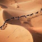 3 Days 2 night group desert tour from Marrakech to Merzouga - What Makes This Tour Stand Out
