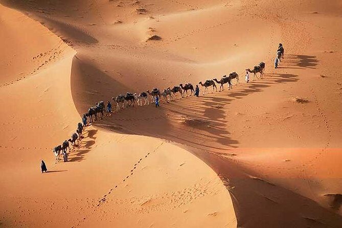 3 Days 2 night group desert tour from Marrakech to Merzouga - What Makes This Tour Stand Out