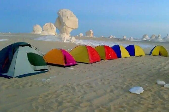 3 Days 2 nights Camp in Baharia Desert - Who Is This Tour Best For?