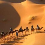 3 Days 2 Nights Desert Tour from Fes to Marrakech - Accommodation, Meals, and Value