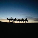 3 Days 2 Nights Desert Tour from Fes to Marrakech via Merzouga - Detailed Review of the Tour Experience