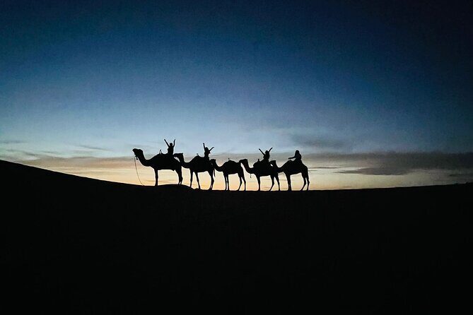 3 Days 2 Nights Desert Tour from Fes to Marrakech via Merzouga - Detailed Review of the Tour Experience