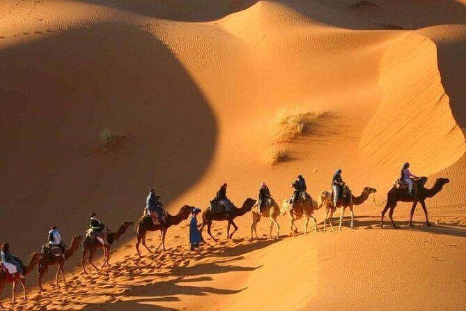 3 Days 2 Nights Desert Tour from Fes to Marrakech - Accommodation, Meals, and Value
