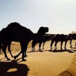 3 days 2 nights desert trip Fes to Marrakech - The Desert Arrival: Erg Chebbi Dunes and Berber Camp