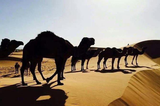 3 days 2 nights desert trip Fes to Marrakech - The Desert Arrival: Erg Chebbi Dunes and Berber Camp