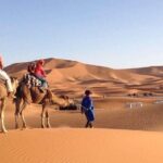 3 Days 2 Nights Desert Trip From Fez to Marrakech in Group - Authentic Experiences and Unique Highlights