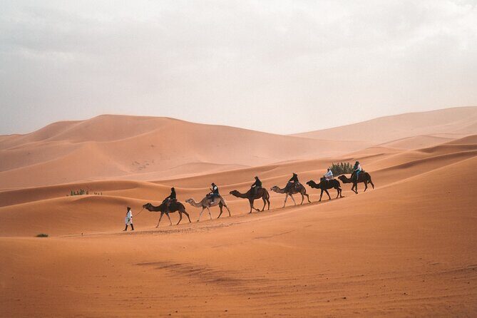 3 days 2 nights Excursion from Marrakech to Marzouga Desert - What’s Included and What to Expect