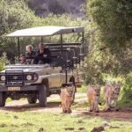 3 Days 2 Nights Garden Route Private Tour from Cape Town - What Travelers Say