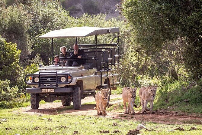 3 Days 2 Nights Garden Route Private Tour from Cape Town - What Travelers Say