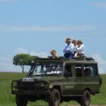 3 Days 2 Nights in Maasai Mara via The Great Rift Valley - Day 3: Early Morning Game Drive and Return to Nairobi