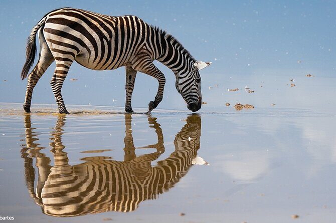 3 Days 2 Nights Joining Tour to Amboseli National Park - What’s Included and What’s Not