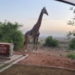 3 Days - 2 Nights Maasai Mara from Nairobi - Who Is This Tour Best For?