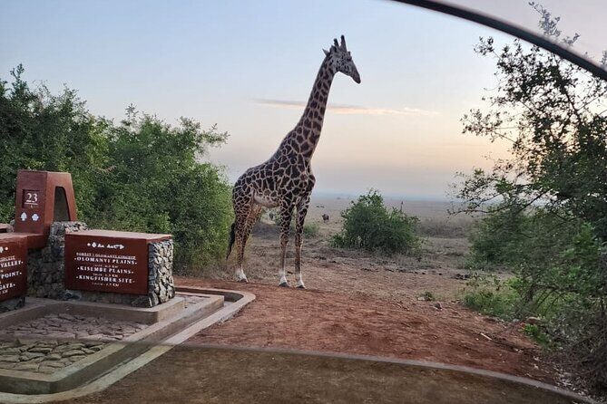 3 Days - 2 Nights Maasai Mara from Nairobi - Who Is This Tour Best For?