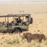 3 Days 2 Nights Maasai Mara National Reserve Joining Safari - Practical Considerations