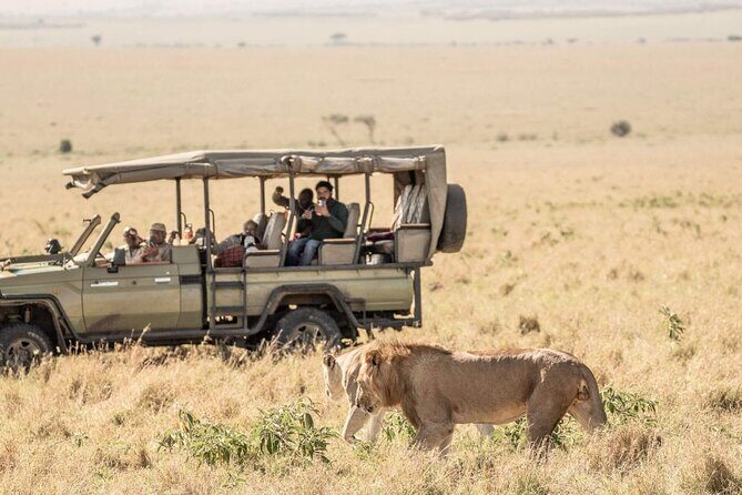 3 Days 2 Nights Maasai Mara National Reserve Joining Safari - Practical Considerations