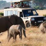 3 Days 2 Nights Masai Mara Safari staying inside the park - Practical Details and What They Mean for You