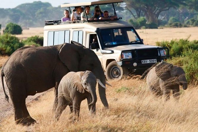 3 Days 2 Nights Masai Mara Safari staying inside the park - Practical Details and What They Mean for You