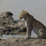 3 Days 2 Nights Mikumi National Park from Dar es salaam road trip - Authentic Experiences and Authenticity