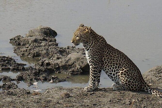 3 Days 2 Nights Mikumi National Park from Dar es salaam road trip - Authentic Experiences and Authenticity